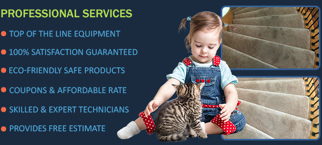 Safe For Kids & Pets :) Eco Friendly Cleaning Services