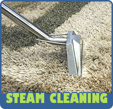 Advanced Cleaning Techniques Steam Carpet Cleaning
